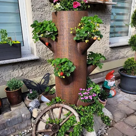 Domblick Naumburg (Saale)