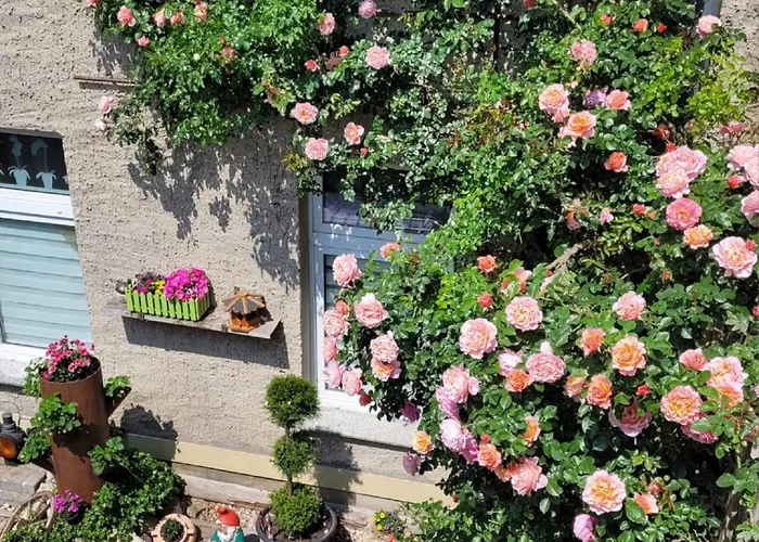 Lägenhet Domblick *