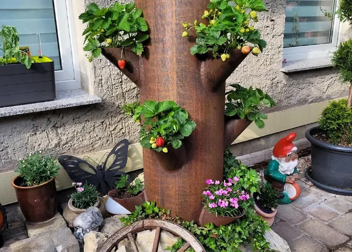 Domblick Naumburg (Saale)